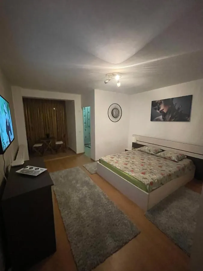 Garsoniera Single Room 19 Bucareste 0*,
